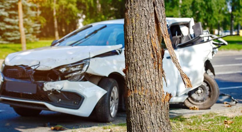 Baleset a belvárosban - kidöntött egy táblát, felborított egy szemetest, majd fának ütközött az ittas sofőr