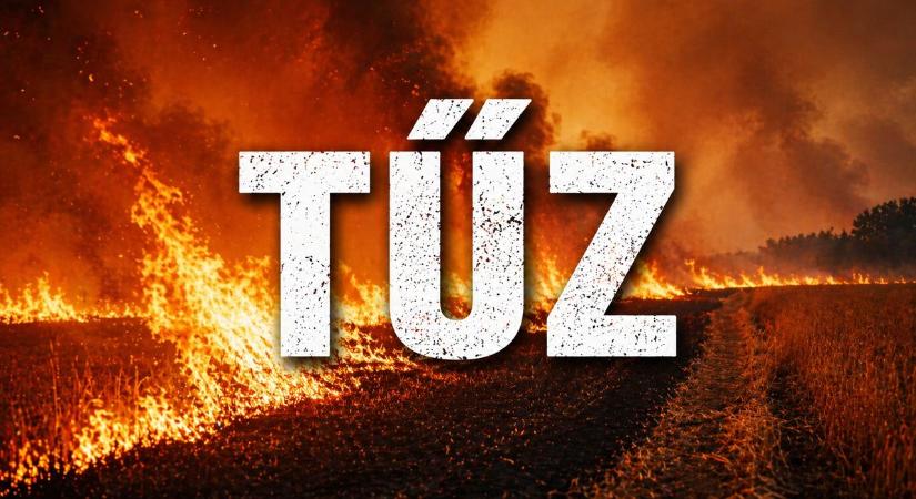 Lángokban áll a megye több pontja, nehéz az oltás