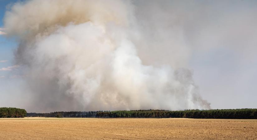 Holnaptól tűzgyújtási tilalom lép életbe két vármegyében