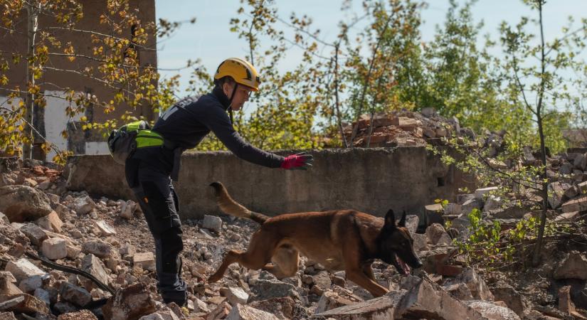A romok között sem mondott csődöt Sueno orra – Csak három kutyának sikerült a katasztrófavizsga: továbbra is világhírűek a magyar mentőebek