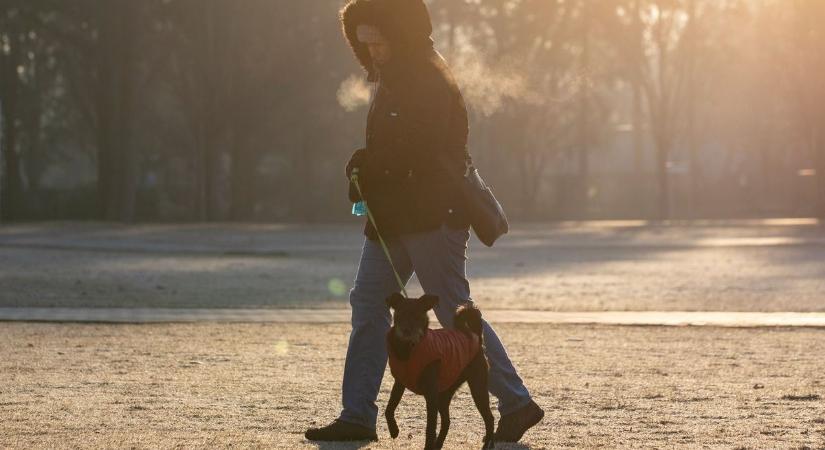 A fagy a majálist is veszélyezteti Hajdú-Biharban? Ez vár ránk a hosszú hétvégén