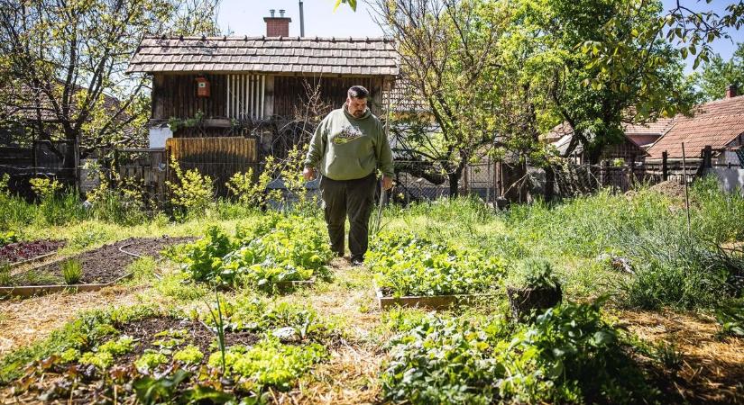 Háromszázezer forintra is megbírságolhatnak, ha ezt teszed a saját kertedben