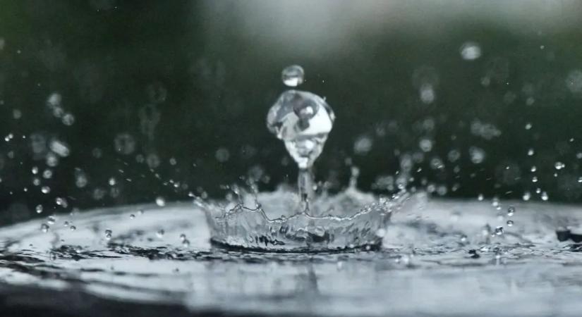 Felejtsd el, amit a növényekről tudtál! Valami hátborzongató derült ki róluk