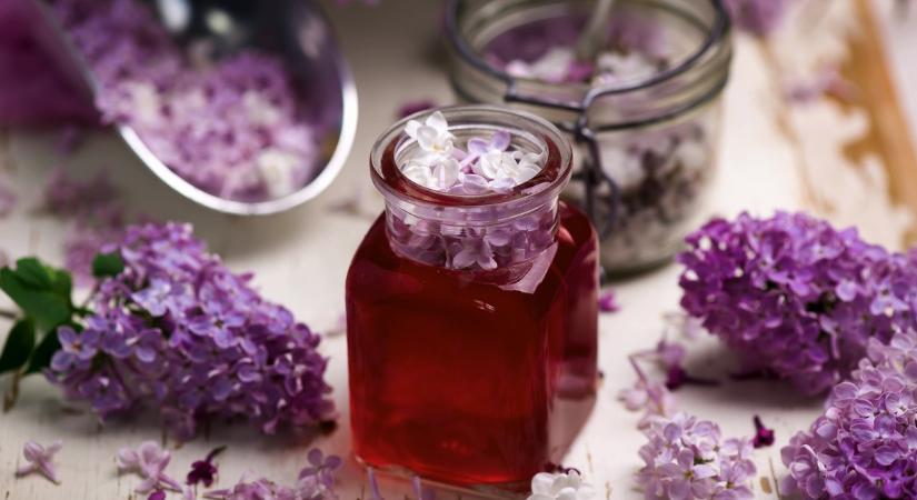 Unod a bodzát? Kevesen tudják, de ebből az 5 furcsa növényből is lehet szörpöt főzni