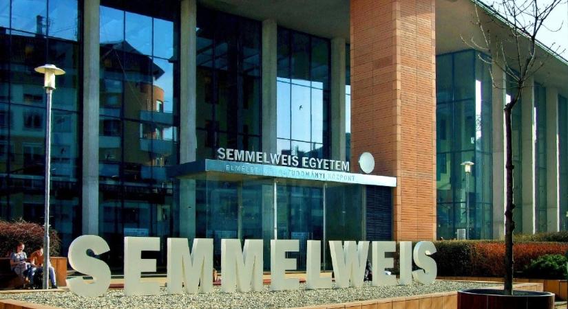 Úttörő eljárás a Semmelweis Egyetemen: orrjáraton keresztül kaptak terápiás anyatejet agykárosodott újszülöttek