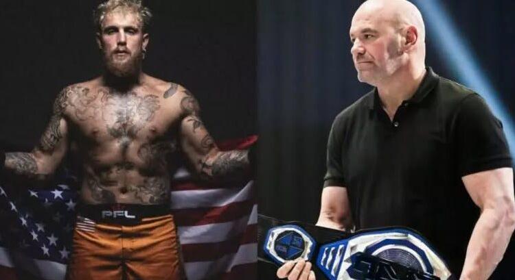 Strickland kiosztotta Dana White-ot, mert tönkreteszi a UFC-t: 'hány jacht kell még?'