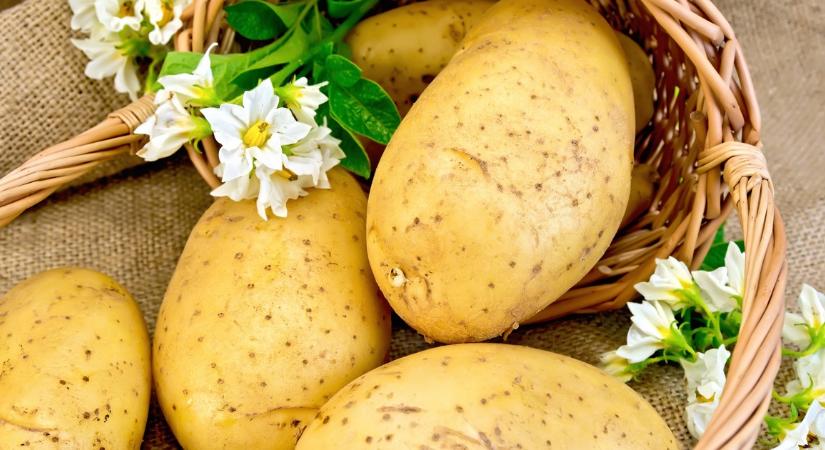 Sokan gondolnák, hogy a só vagy az ecet, de nem! Ordítja a szakértő: ezt tedd a krumpli főzővizébe, hogy a burgonya hamarabb megpuhuljon