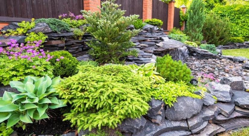 Kezdőként is lehet szép kerted - ha ezt a pár dolgot betartod