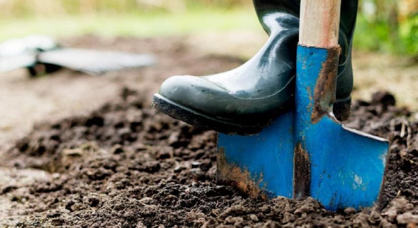 Ezért nem működik a legtöbb kertészeti tanács