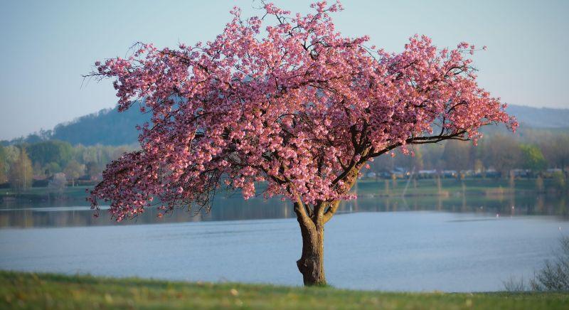 Mínusz 4 fokos goromba hajnal után viharos szél érkezik