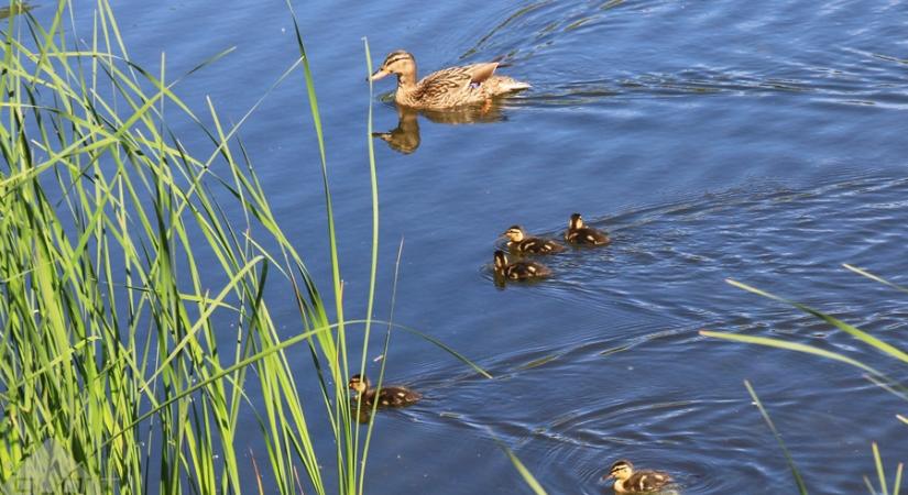 Napos, de kissé szeles idő várható