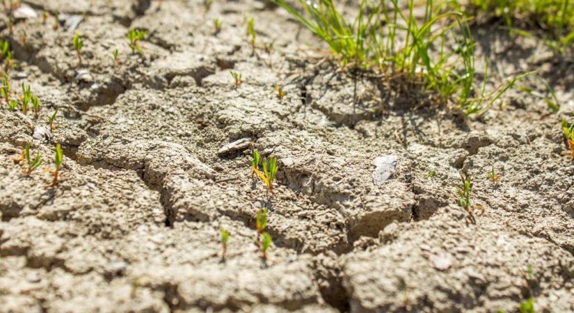 3 napos előrejelzés: Elül a szél, kisüt a nap, de elég ez nekünk?