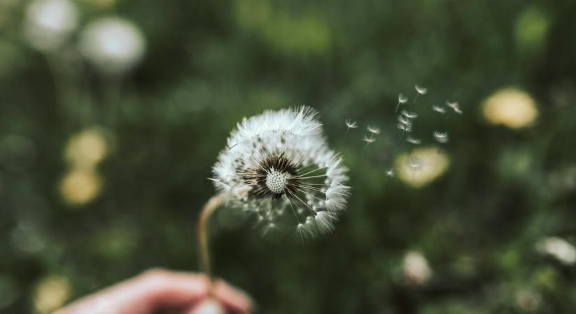 2026. április 30.: Közepesen felhős, szeles nap vár ránk mérsékelt hőmérséklettel