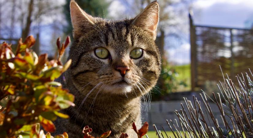 Hűvösen, de napsütéssel ér véget az április