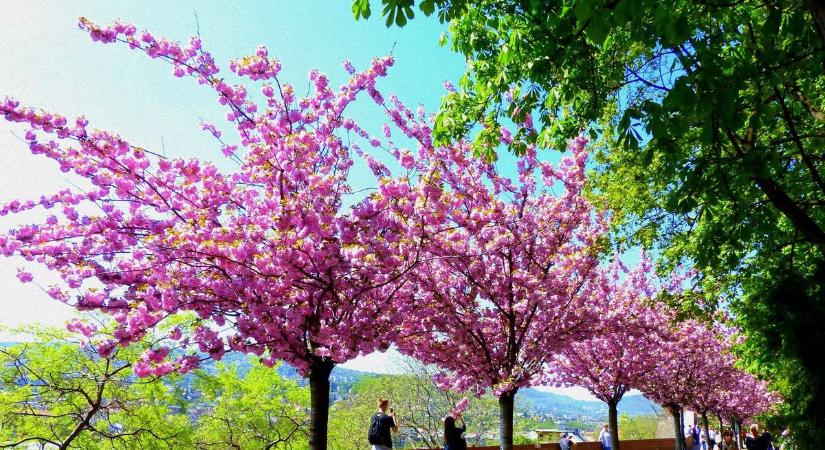 Csütörtöki időjárás: szikrázó napsütés, friss szél