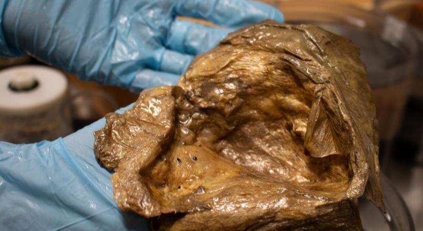 Ismeretlen eredetű, titokzatos aranygömböt találtak a tengerfenéken - most kiderült, miből is áll valójában