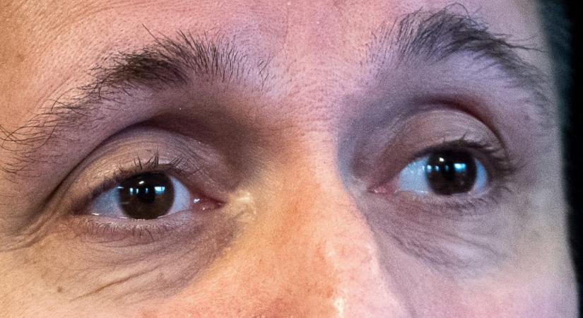 Kvíz: felismered a magyar hírességeket csak a szemeikről?