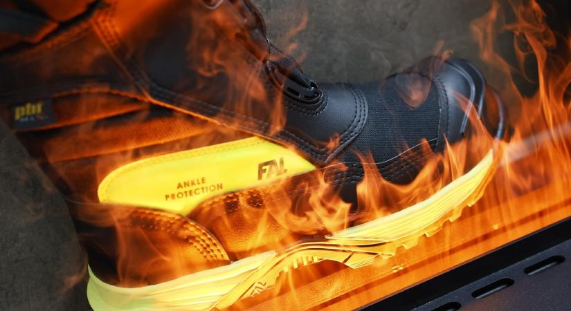 Megalakult a SAFENET szakmai közösség