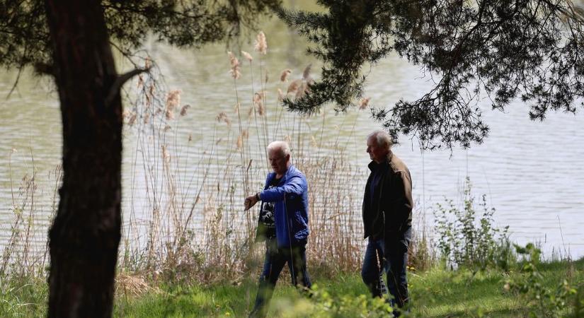 Másfelé is kóborolhat a medve Borsodban