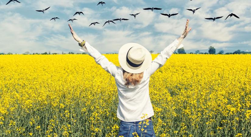 Derűs, de hűvös napra lehet készülni