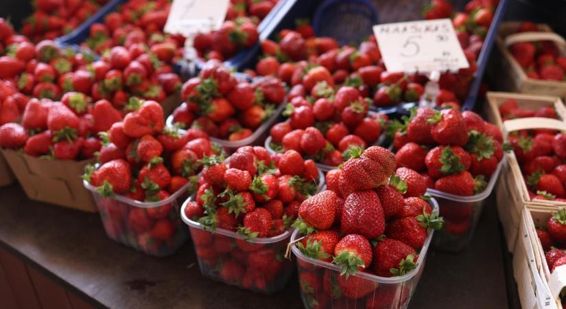 A németek is lassan ráébrednek a válságra: brutális árak sokkolják a vásárlókat