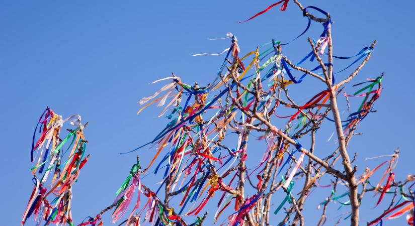 A májusfa hagyománya: eltűnőben van ez a szerelmes szokás?