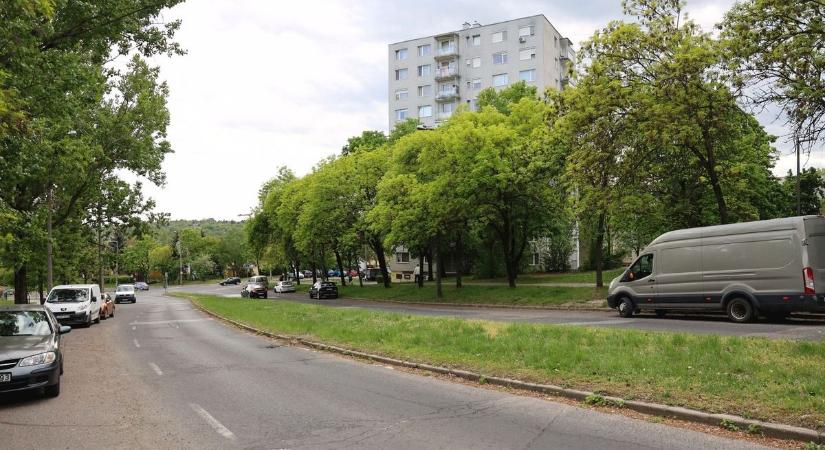 Figyelem, Miskolc! Elkezdődik az Avas felújítása – így borulhat a közlekedés