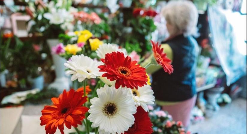 Megfizethető a szeretet ára? Ennyibe kerülhet az anyák napi csokor az egri virágboltokban