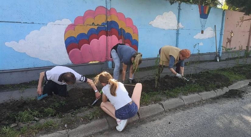 Több mint 300 növény és egy közös ebéd, és kiderült, miért ilyen boldogok a Cukorgyári Lakótelep lakói