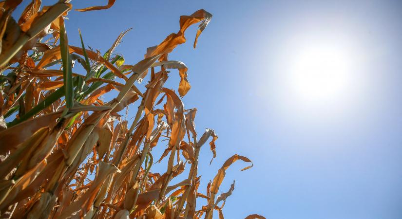 Sok napsütéssel, eső nélkül jön a hosszú hétvége