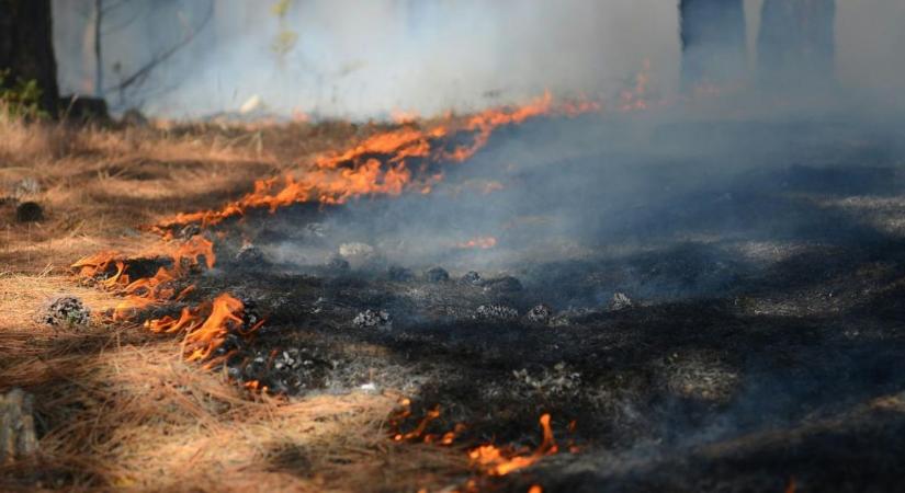 Elrendelték a tűzgyújtási tilalmat: bármelyik pillanatban felcsaphatnak a lángok
