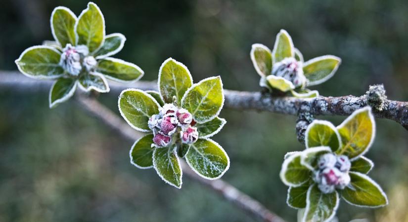 Durva fagy csaphat le Magyarországra: visszatér a tél?