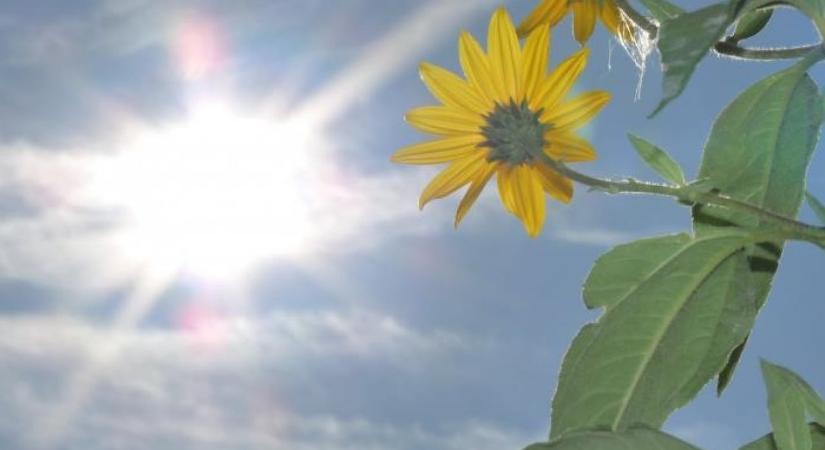 Egyre melegebb lesz szombattól, napos idővel érkezik a hétvége