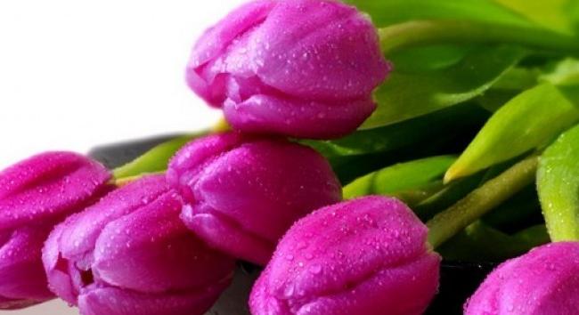 Kiemelt NAV-ellenőrzések lesznek a hosszú hétvégén