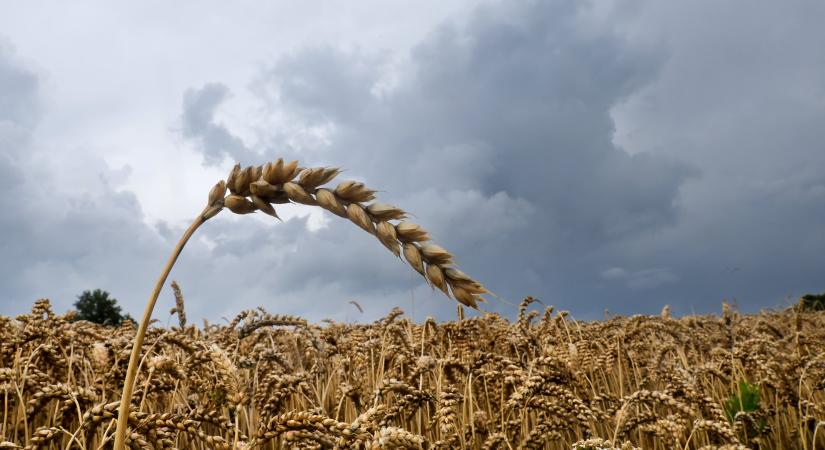 Jön a hosszú hétvége, kérdés, lesz-e benne köszönet