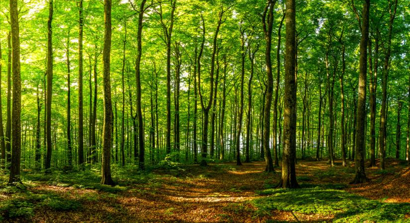 Időzített bombán ülnek a magyarok: ezért súlyos árat fizethetünk