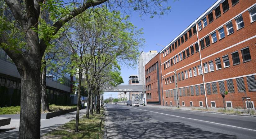 Megszólalt a Richter-vezér az elhalasztott osztalékfizetésről: erről egyeztek meg Magyar Péterrel