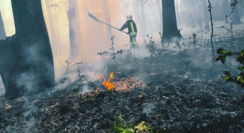 Mától tilos a parázs: elrendelték a korlátozást Csongrád-Csanád vármegyében