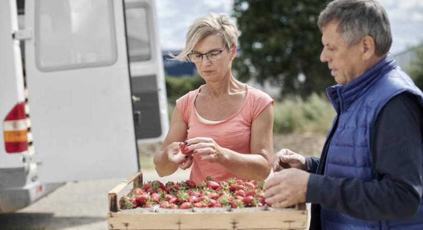 Országos ellenőrzés indul: ezt vizsgálják szigorúan a hatóságok