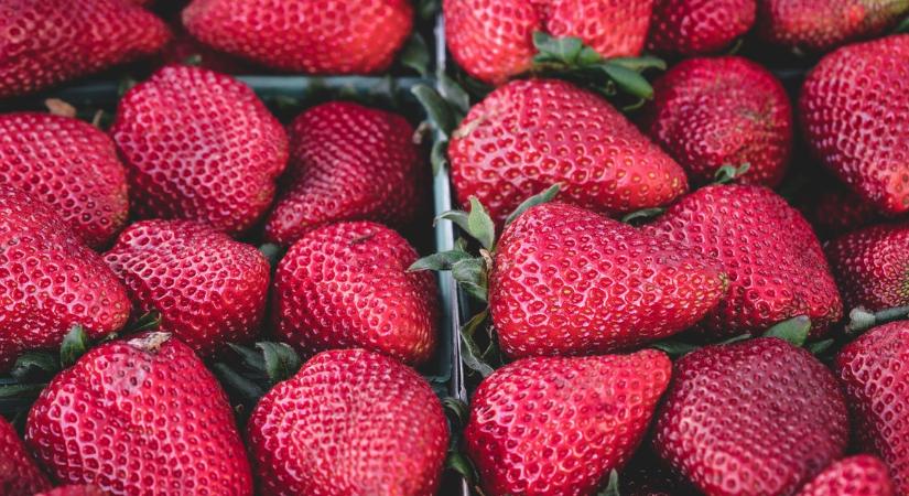 Razziáznak a fogyasztóvédők az eperstandoknál a tavalyi rossz tapasztalatok miatt - elmondjuk mire figyelnek különösen