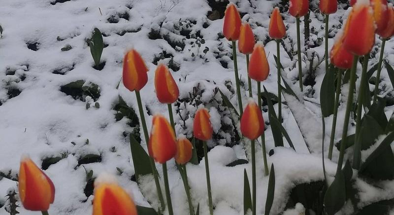 Visszatért a tél ország központi részén – Kovászna megyében is bevetették a hókotrókat (VIDEÓ)