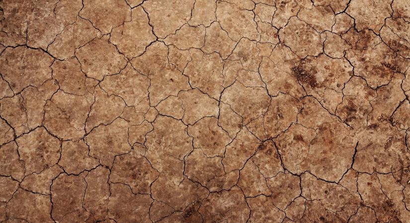 Szárazság és csökkenő talajvízszint – Mi lesz a vetésekkel?
