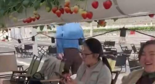 Feketén bólingat az eperfa lombja… – A nap videója