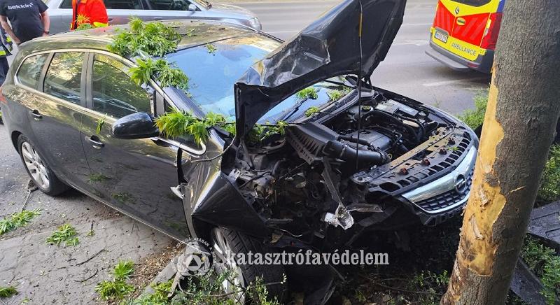 Baleset és tűz Szolnokon: fának hajtott egy autó, ház is kigyulladt