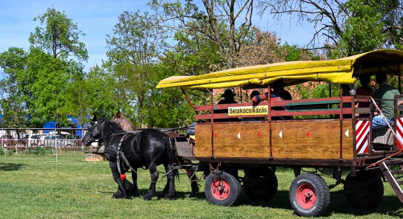 Állatsimogatóval és lovaskocsizással nyitott a Gabonamúzeum