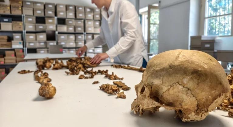 A Római Birodalom bukása után kezdhettek el keveredni egymással a különböző európai népek