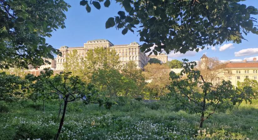 Hullámvasútra ültet az időjárás: hajnalban fagy, hétvégén akár 27 fok is jöhet