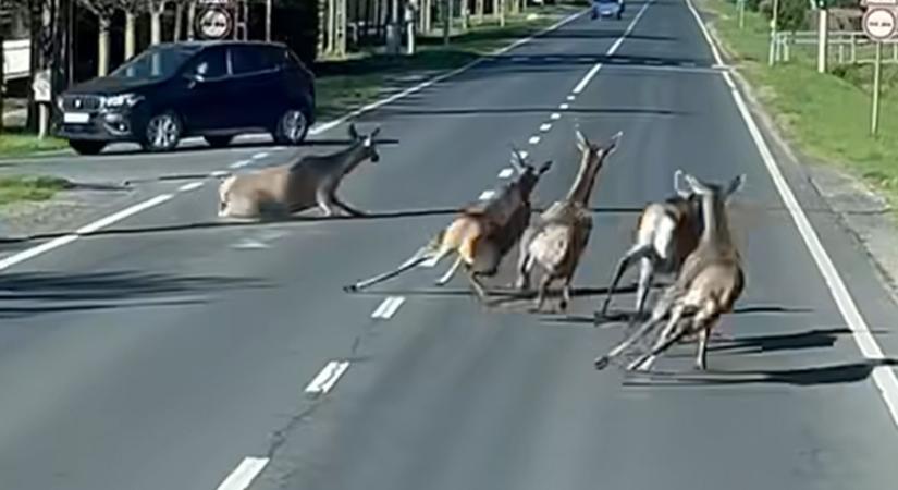 Egy balatoni videó tarolta le a közösségi médiát