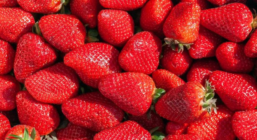 Eper vagy szamóca? Döntsön most, 24 óra múlva lezárjuk a szavazást!