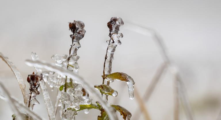 Megdőlt a hajnali hidegrekord, mínusz 5 Celsius-fokot mértek Lénárddarócon
